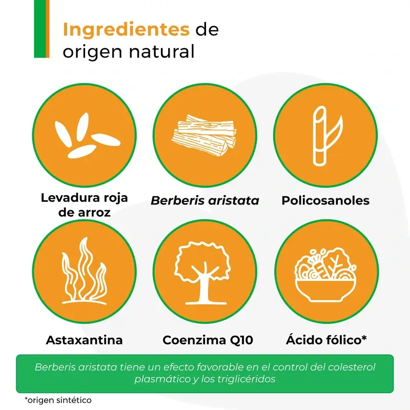Armolipid Cholesterol Plus, 3 x 20 tablets - Image 4