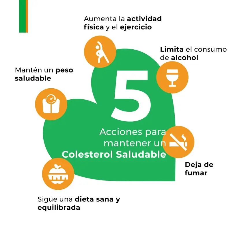 Armolipid Cholesterol Plus, 3 x 20 tablets - Image 8